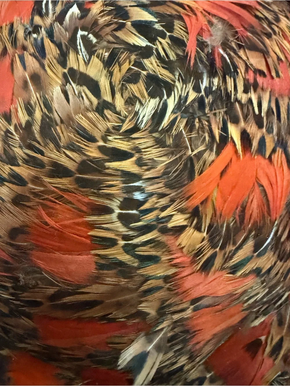 Vtg Mr. John Wool Orange Feathered Pillbox Hat for Women